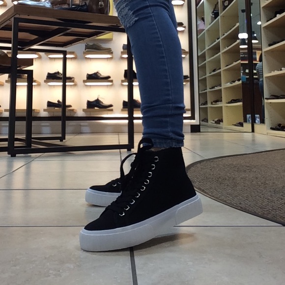 steve madden chanced sneaker